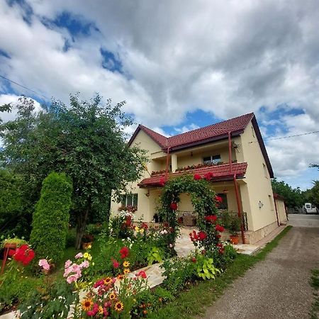 Steaua Nordului Hotel Targu Neamt Exterior foto