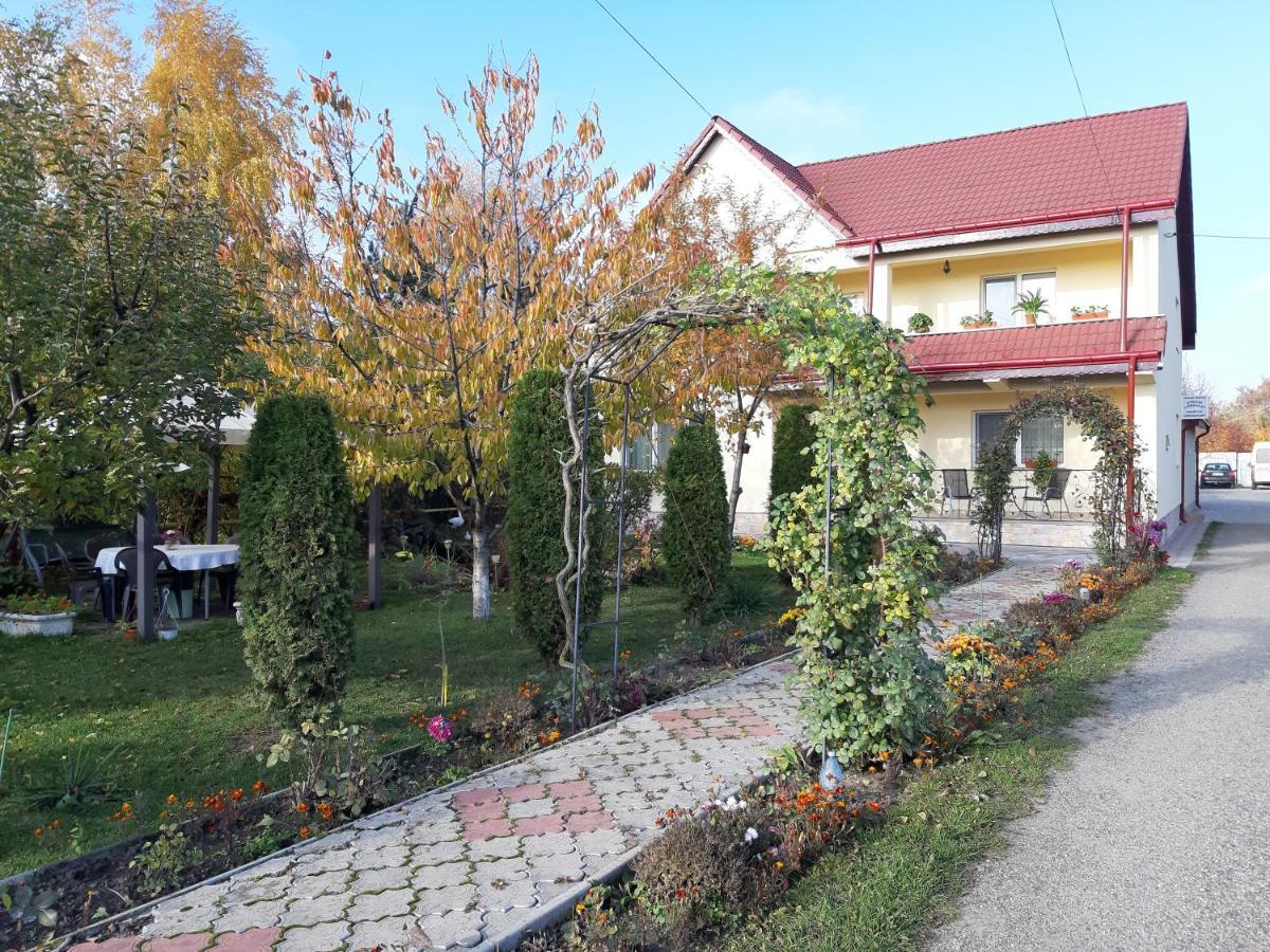 Steaua Nordului Hotel Targu Neamt Exterior foto
